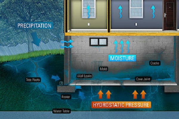 Waterproofing Whangarei